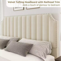 WhizMax - Cadre de lit taille Queen / King avec tête de lit haute 50,2 pouces, cadre de lit tapissé en velours Queen avec tête et pied de lit à capitonnage vertical