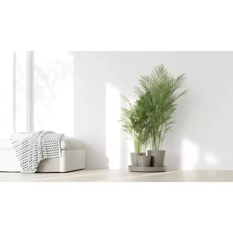 Ecopots Dubai Pot de fleurs rond moderne et durable à arrosage automatique pour intérieur/extérieur en composite recyclé avec roulettes et soucoupe, taupe, 22