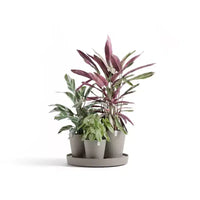 Ecopots Dubai Pot de fleurs rond moderne et durable à arrosage automatique pour intérieur/extérieur en composite recyclé avec roulettes et soucoupe, taupe, 22