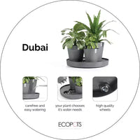 Ecopots Dubai Pot de fleurs rond moderne et durable à arrosage automatique pour intérieur/extérieur en composite recyclé avec roulettes et soucoupe, taupe, 22