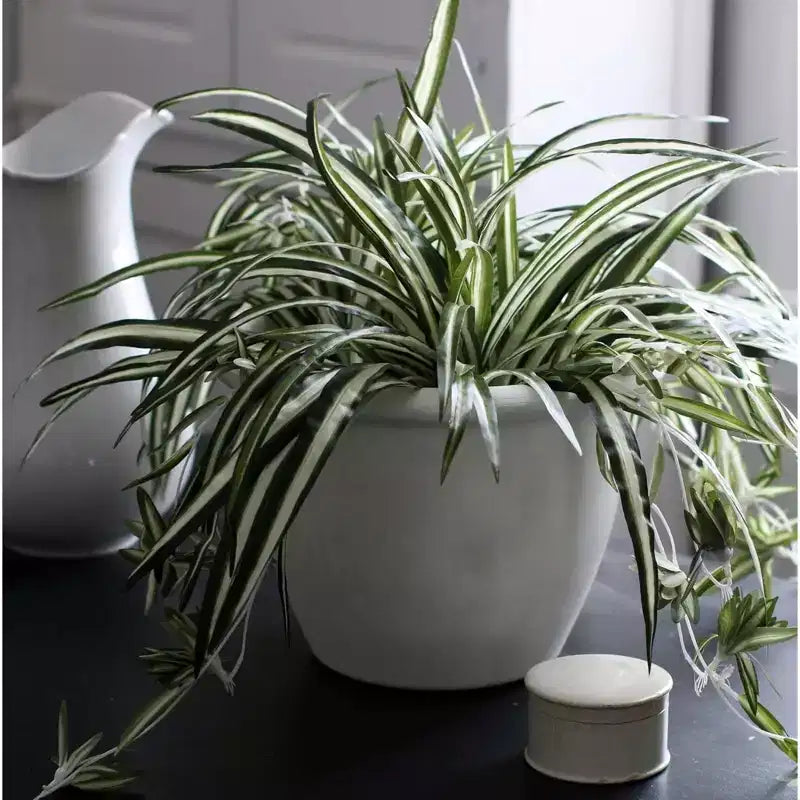 Pot rond à réserve d'eau Sevilla de HC Companies, jardinière classique en plastique avec disque interne pour plantes d'intérieur et d'extérieur, 30 cm, blanc