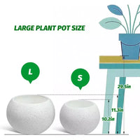 10,2 H x 13,5 Dia (ouverture 10) cm Pots de fleurs ronds à réserve d'eau pour l'intérieur avec drainage et indicateur de niveau d'eau, motif à pois blancs