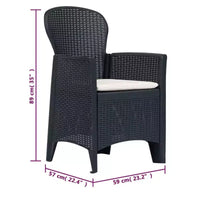 vidaXL Ensemble de bistrot, 2 pcs, aspect rotin, anthracite, plastique