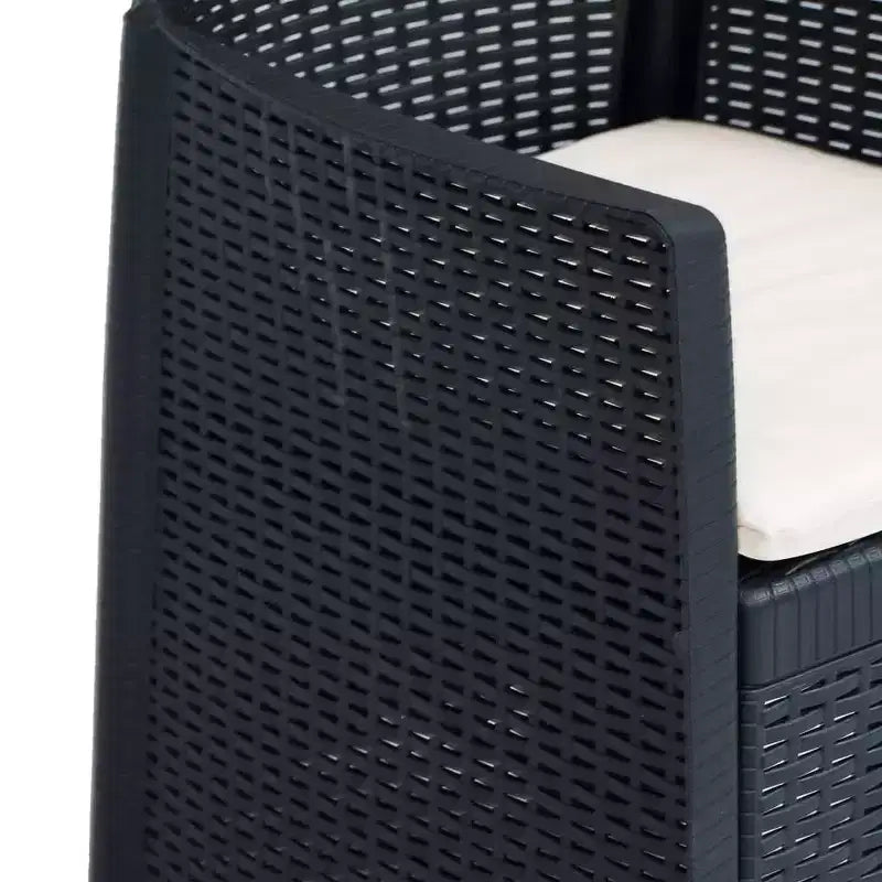 vidaXL Ensemble de bistrot, 2 pcs, aspect rotin, anthracite, plastique