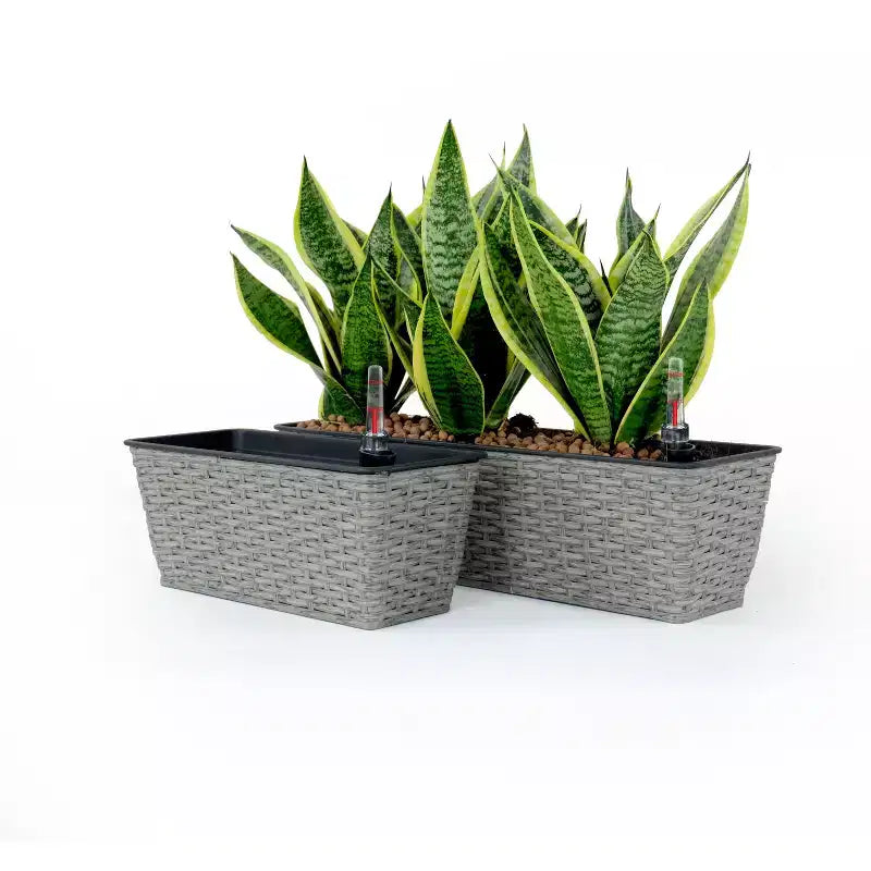 Lot de 2 jardinières rectangulaires auto-arrosantes en osier gris pour l'intérieur et l'extérieur, pot de fleurs avec réservoir, drainage et conception résistante aux intempéries