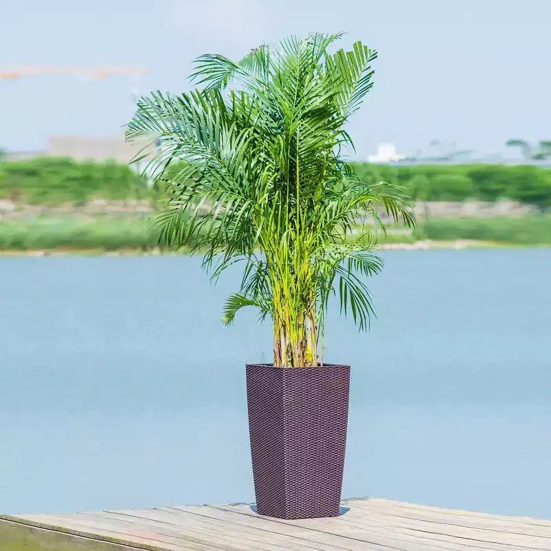 Jardinière auto-irrigante de 76 cm de haut, marron, pour l'extérieur et l'intérieur, grand pot de fleurs en faux rotin avec indicateur de niveau d'eau et seau intérieur