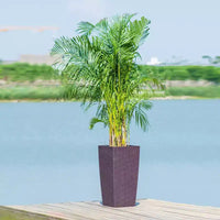 Jardinière auto-irrigante de 76 cm de haut, marron, pour l'extérieur et l'intérieur, grand pot de fleurs en faux rotin avec indicateur de niveau d'eau et seau intérieur