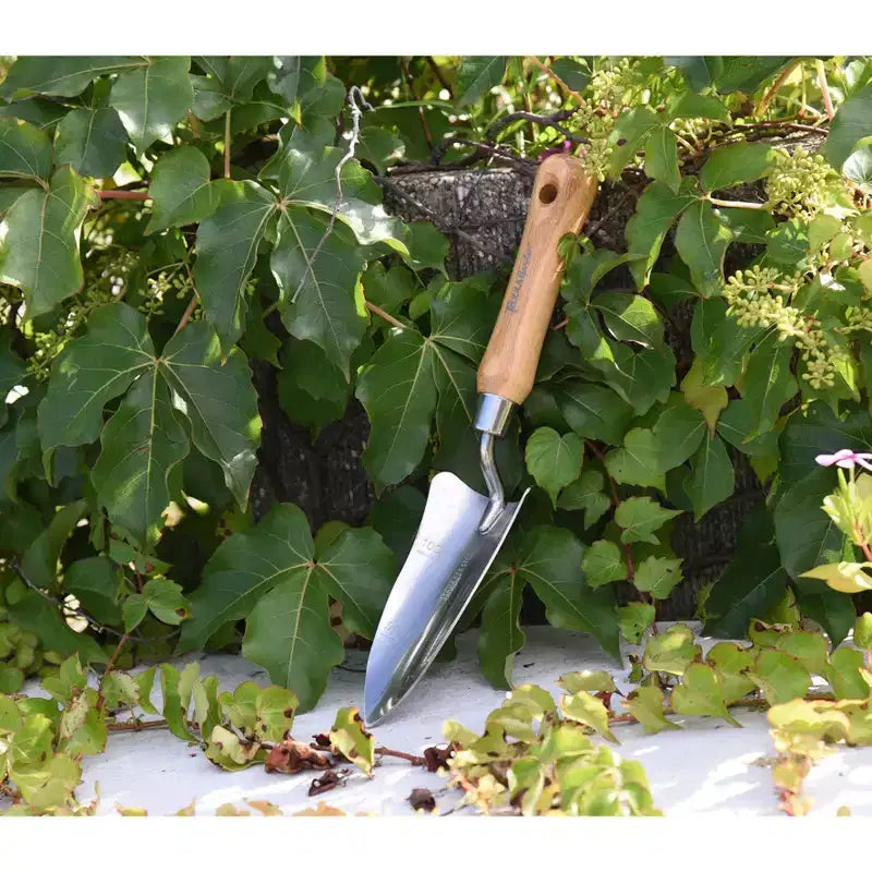 Plateau de jardinage Garden Tidy avec outils à main en acier inoxydable et manches en bambou, plusieurs options d'outils et couleurs
