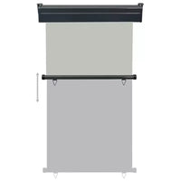 vidaXL Store latéral de balcon Acier gris 105 x 250 cm Accoudoirs réglables