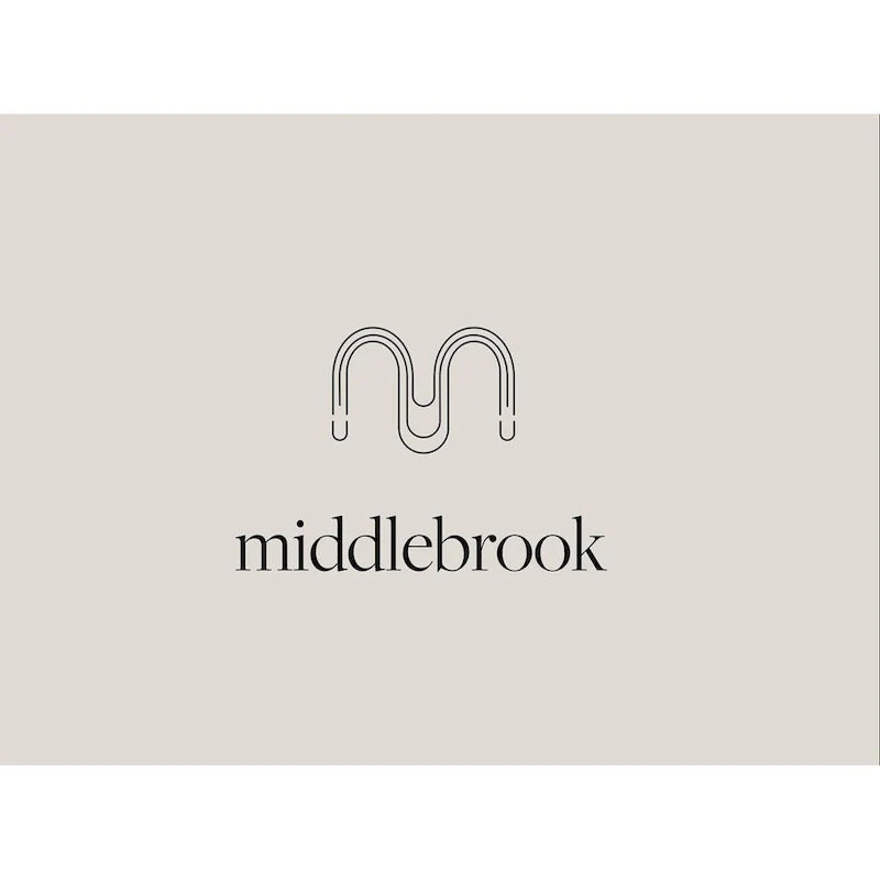 Meuble TV à 2 portes de 60 pouces de style moderne du milieu du siècle Middlebrook