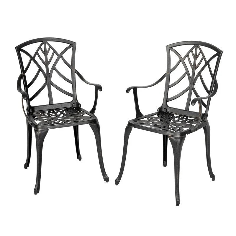 Ensemble de 2 chaises de patio extérieures, en aluminium coulé, noir avec bordure dorée